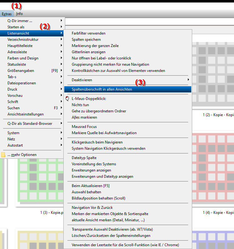 Anzeige der Spaltenüberschrift in allen Ansichten im Datei Explorer